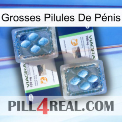 Grosses Pilules De Pénis viagra5